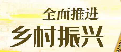 全面推进乡村振兴