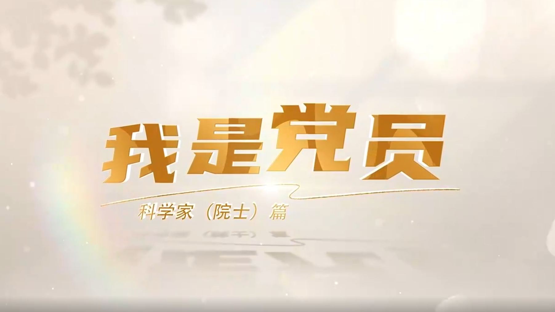 我是党员