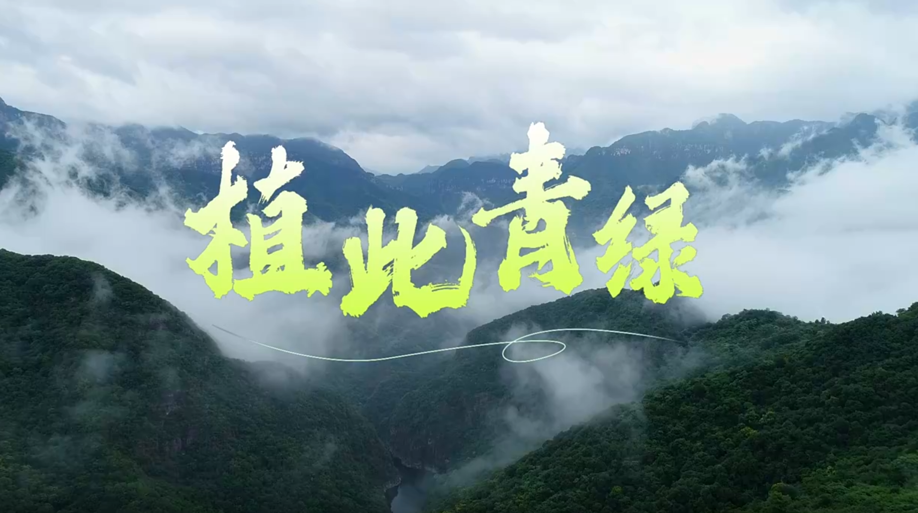 植此青绿